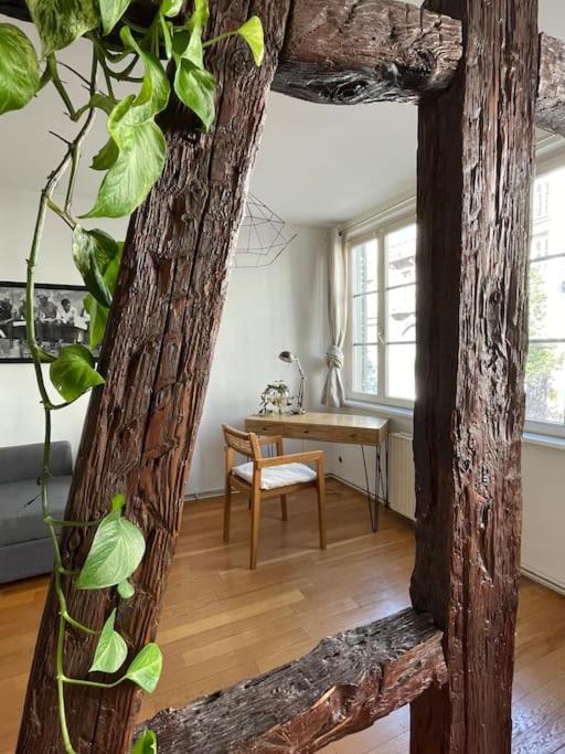 Appartement 2 Chambres Au Coeur De Strasbourg Eksteriør bilde