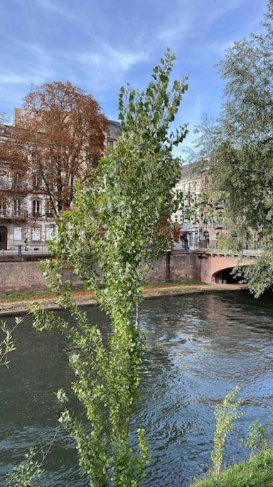 Appartement 2 Chambres Au Coeur De Strasbourg Eksteriør bilde
